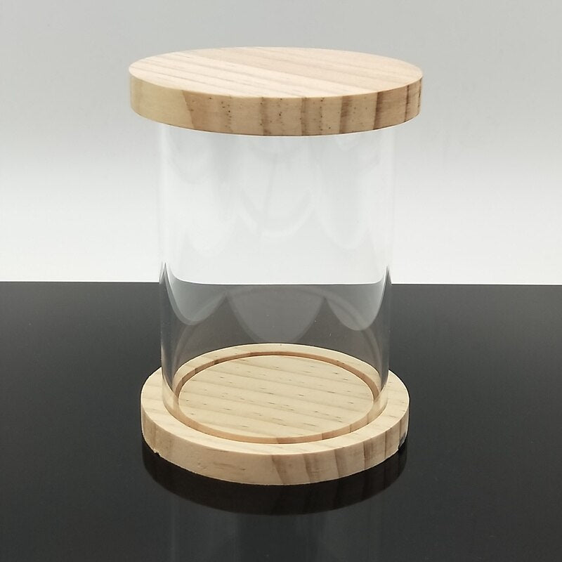 Hand Models Display Stand Dust-Proof Storage Box Acrylic Boxes Round Car Model Blind Box 12.5cm